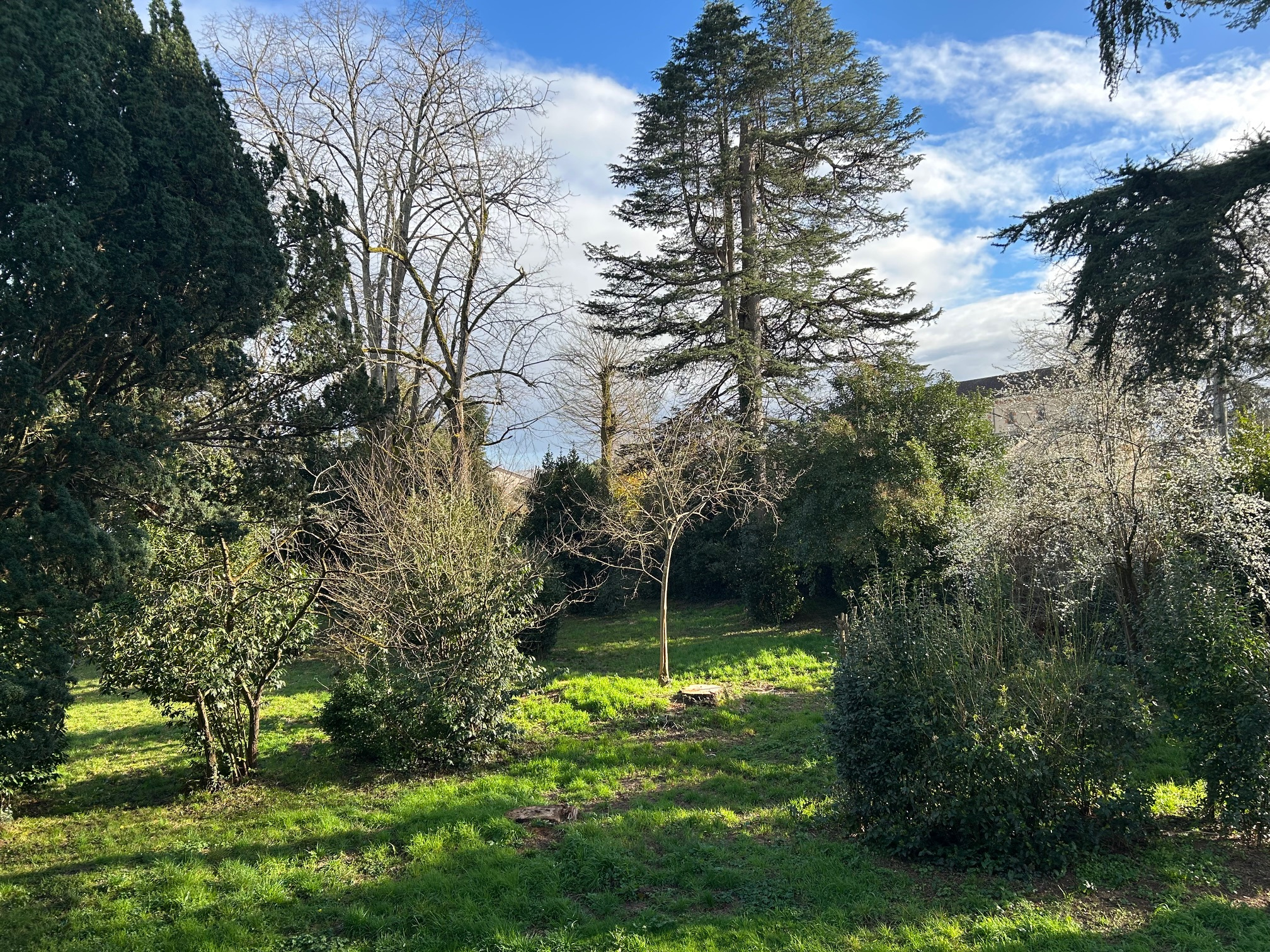 Maison bourgeoise 300 m2 + terrain +dépendance