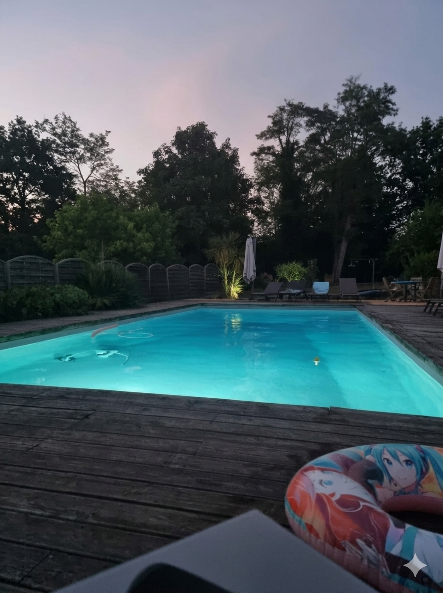 10 MIN DE CASTELJALOUX MAISON PIERRE 138 M2 + PISCINE